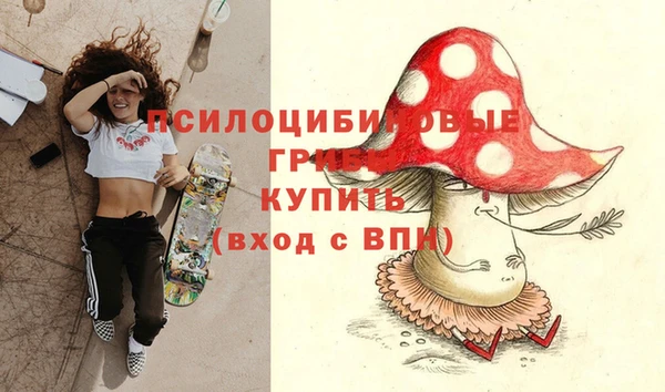 шишки Аркадак