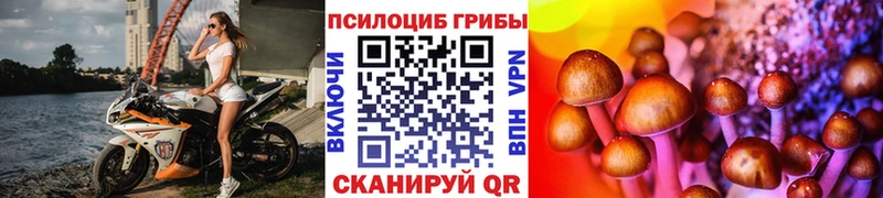 Купить закладки  Лесной  Галлюциногенные грибы Psilocybine cubensis 
