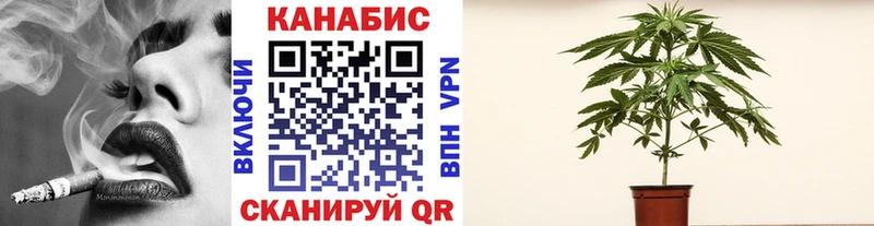 Купить где  Лесной  Шишки марихуана Ganja 